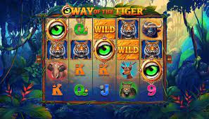 Way of The Tiger Slot Review
