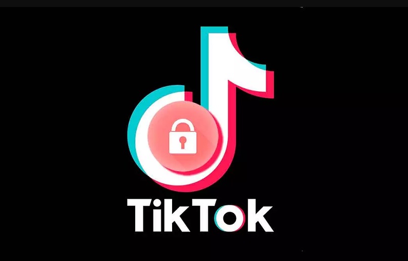How to Download Private TikTok Videos